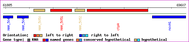 gene map