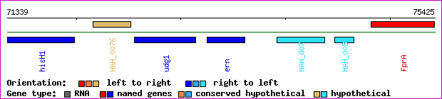 gene map