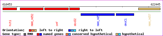 gene map
