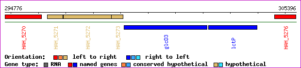 gene map