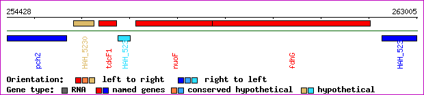 gene map