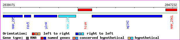gene map