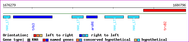 gene map