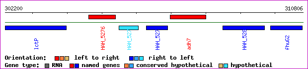 gene map