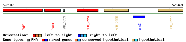 gene map