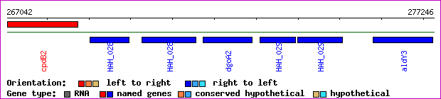 gene map