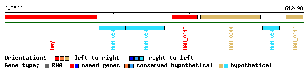 gene map