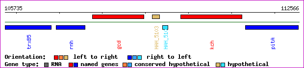 gene map