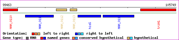 gene map
