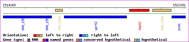 gene map