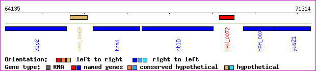 gene map