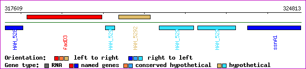 gene map