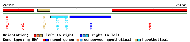 gene map