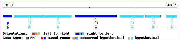 gene map