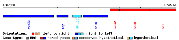 gene map