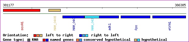 gene map