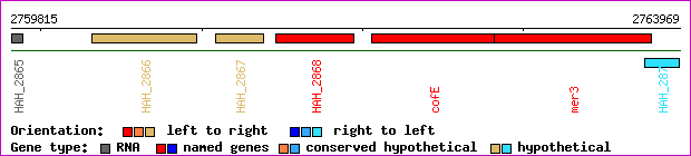 gene map