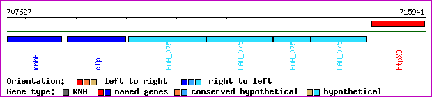gene map