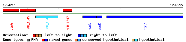 gene map