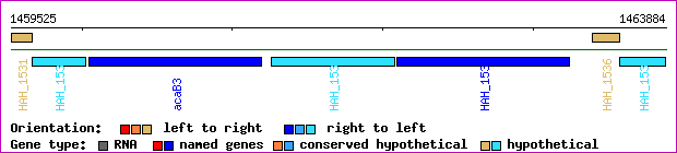 gene map