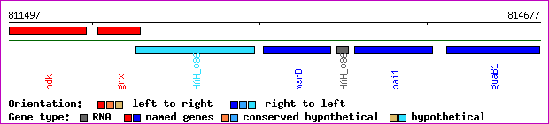 gene map