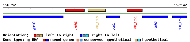 gene map
