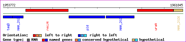 gene map