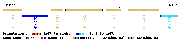 gene map