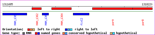 gene map