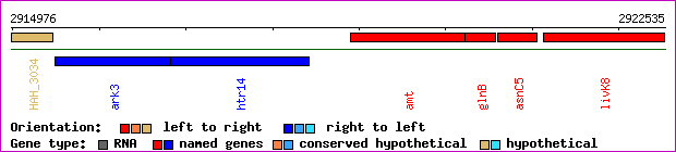 gene map