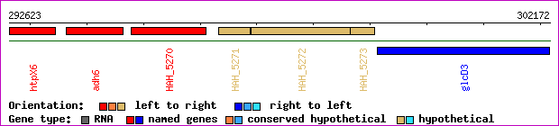 gene map
