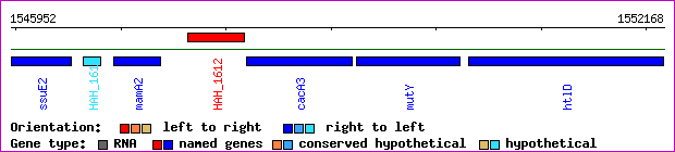 gene map
