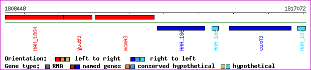 gene map