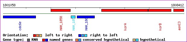 gene map