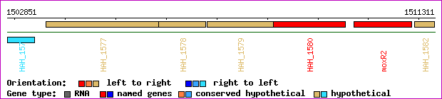 gene map