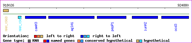 gene map