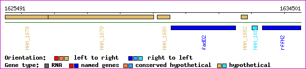 gene map