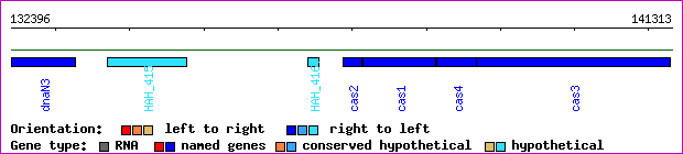 gene map