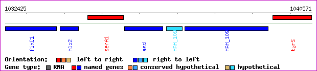 gene map