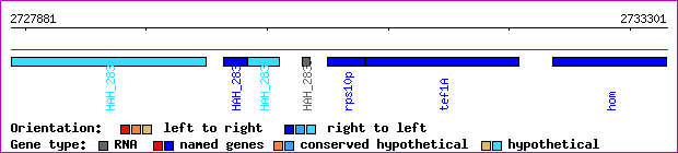 gene map