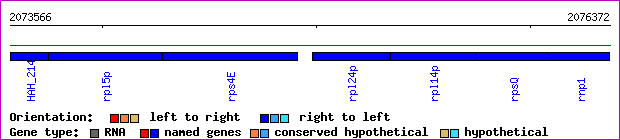 gene map