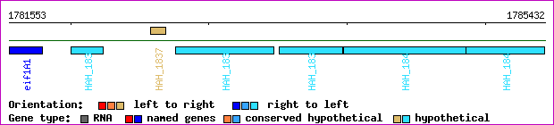 gene map