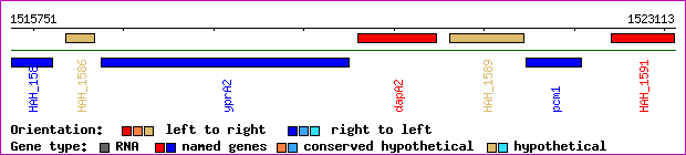 gene map
