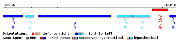 gene map