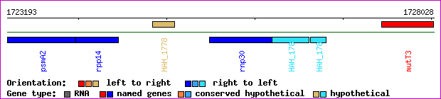 gene map
