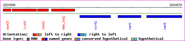 gene map