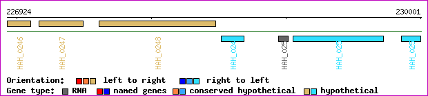 gene map