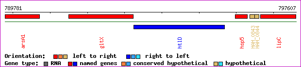 gene map