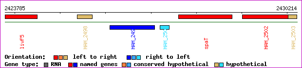 gene map