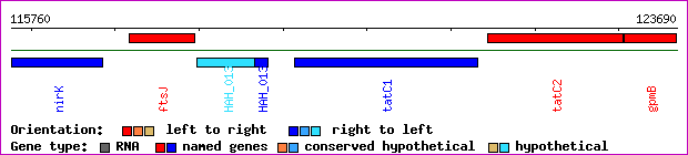 gene map
